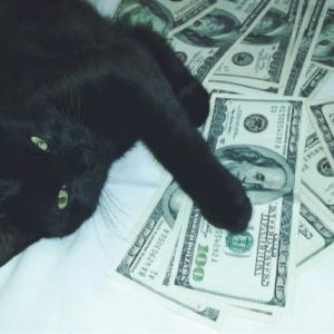 CAT MONEY