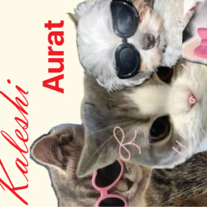 KALESHI AURAT