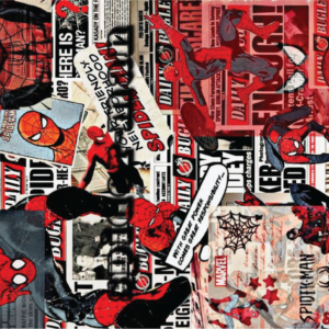 SPIDER MAN